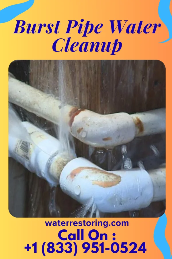 Burst Pipe Water Cleanup in Rutherford, PA