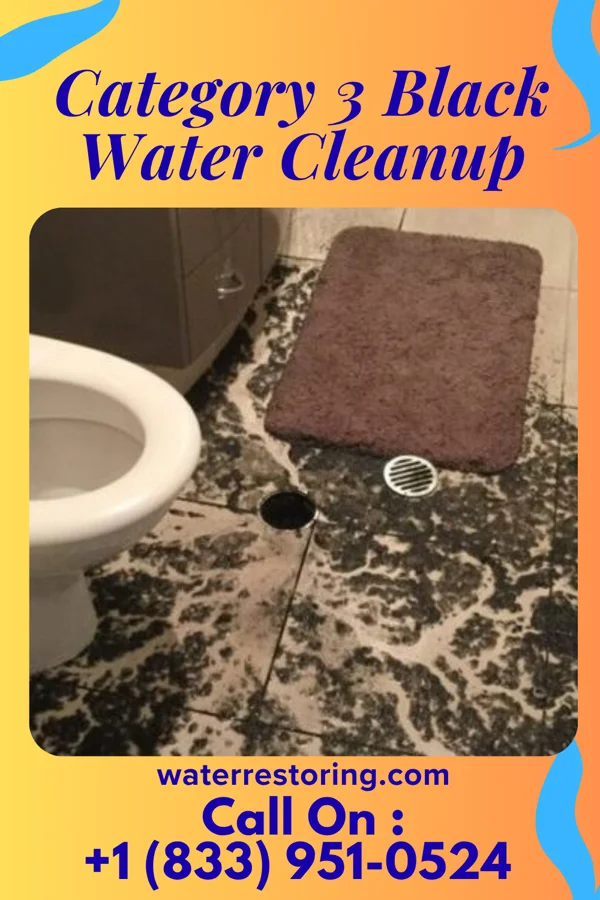 Category 3 Black Water Cleanup in Rutherford, PA