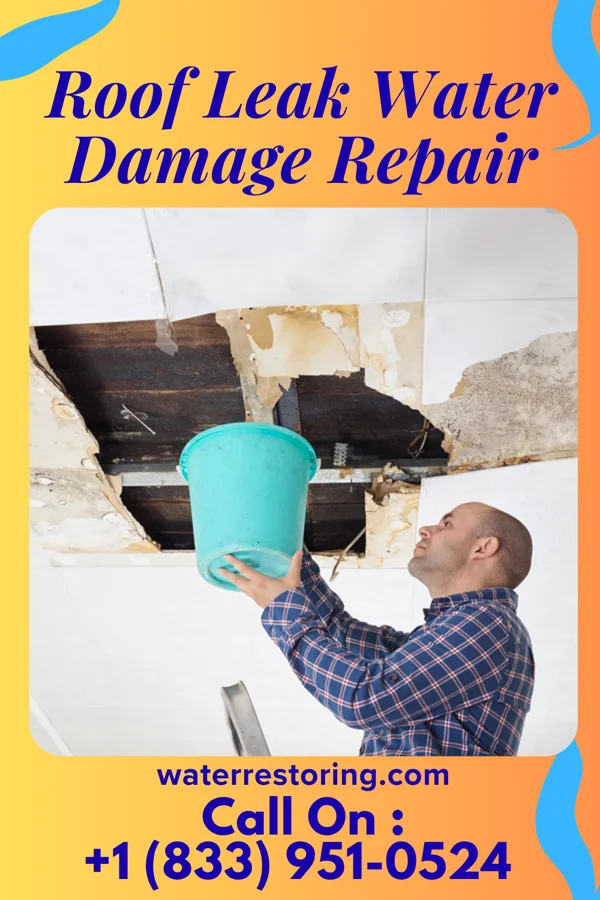 Roof Leak Water Damage Repair in Rutherford, PA