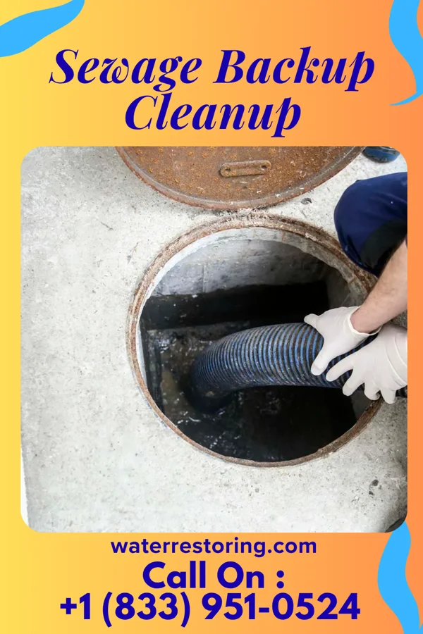 Sewage Backup Cleanup in Rutherford, PA