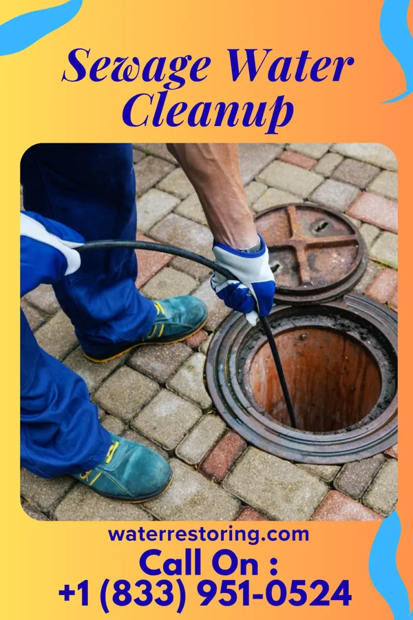 Sewage Water Cleanup in Rutherford, PA